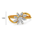 Dummy Jewelry Product