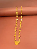 Golden Chain - GCH12