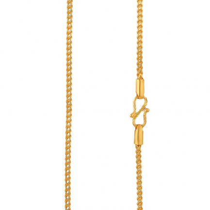 Chain 1